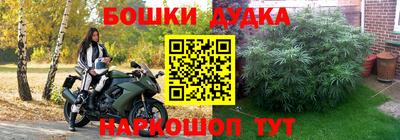 дживик Будённовск