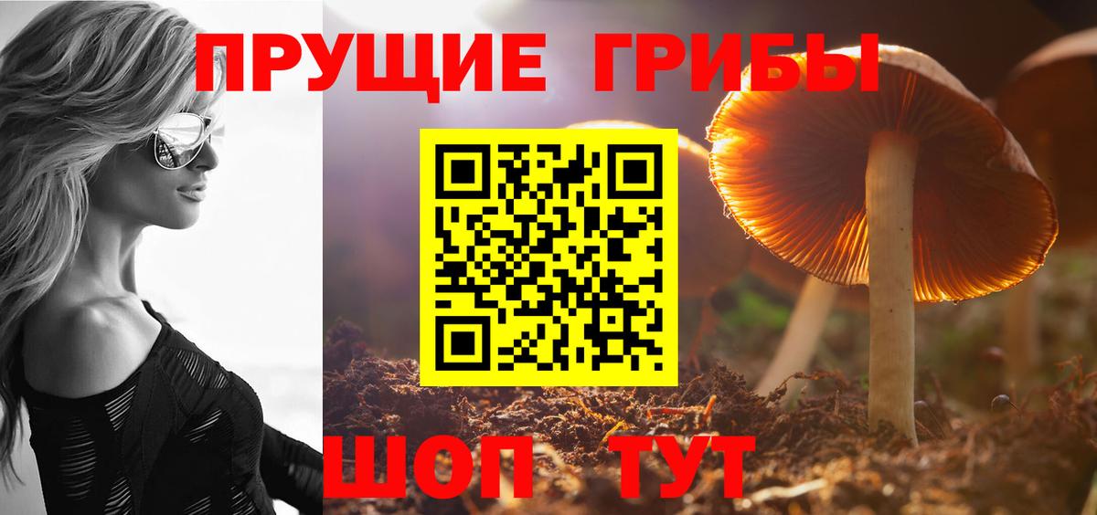 Псилоцибиновые грибы мухоморы  Псилоцибиновые грибы GOLDEN TEACHER  Вход с VPN  Радужный 