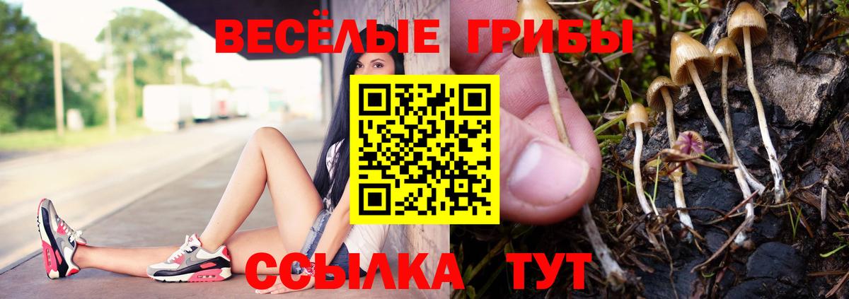 Галлюциногенные грибы Cubensis Радужный